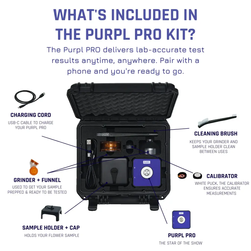 PurplPro_03.webp