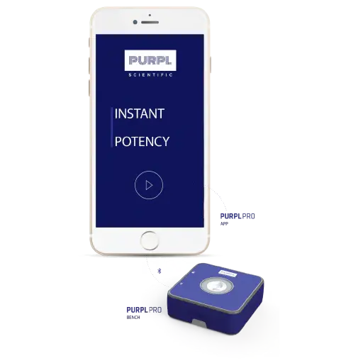 PurplPro_04.webp